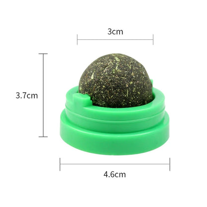 3 Pcs Catnip Balls for Cats – Wall-Mounted Interactive Cat Toys for Indoor Cats