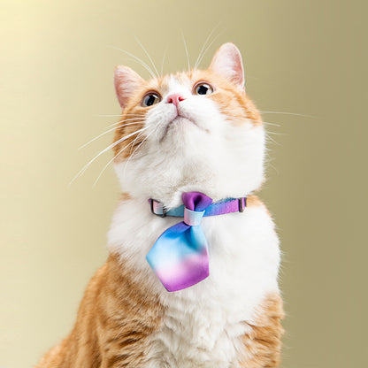 Gentleman style Tie coller