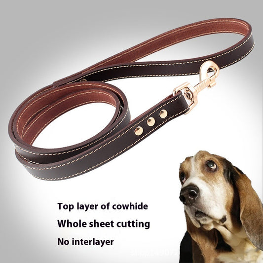 Hand Holding Rope Dog Chain