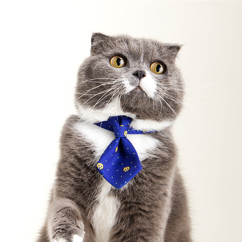 Gentleman style Tie coller