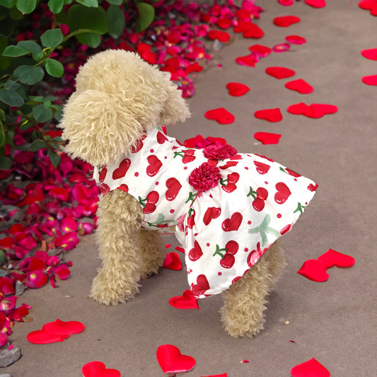 Princess Pet Dress – Elegant & Adorable! ✨