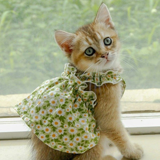 Suspender Princess Dress for Pets – Adorable & Elegant! ✨