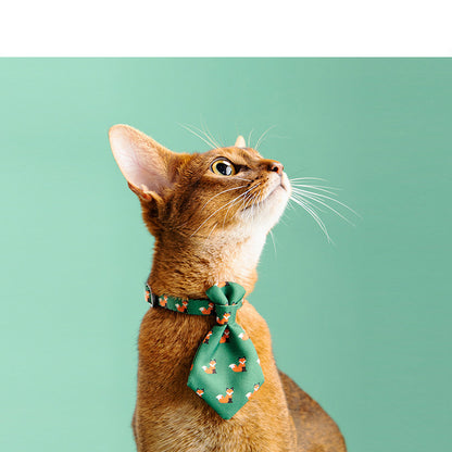 Gentleman style Tie coller