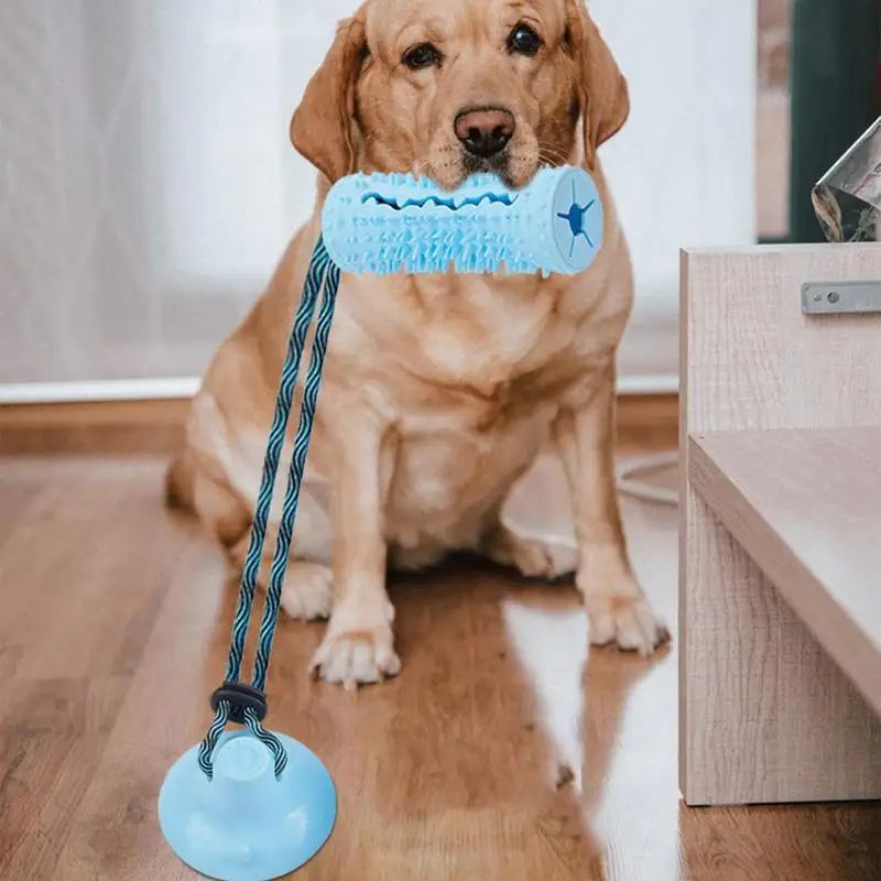 Dog Chew Ball Toys