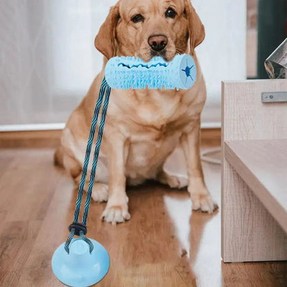 Dog Chew Ball Toys