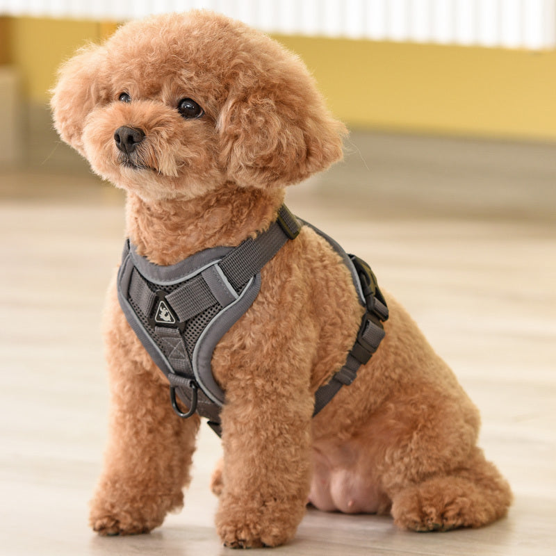 Leashing Rope Vest-style Pet Dog Chain