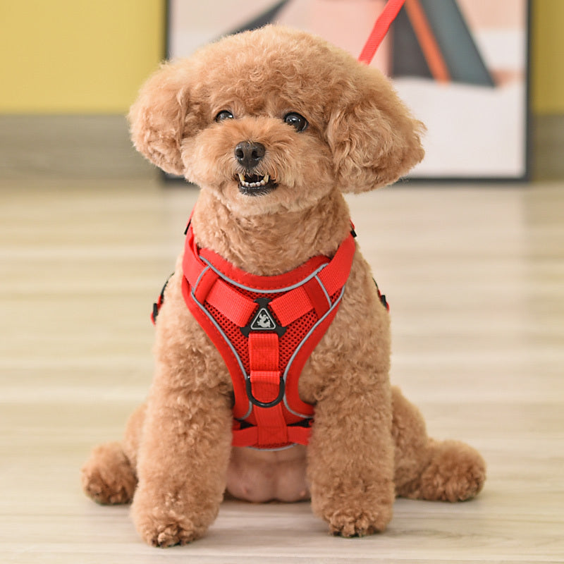 Leashing Rope Vest-style Pet Dog Chain