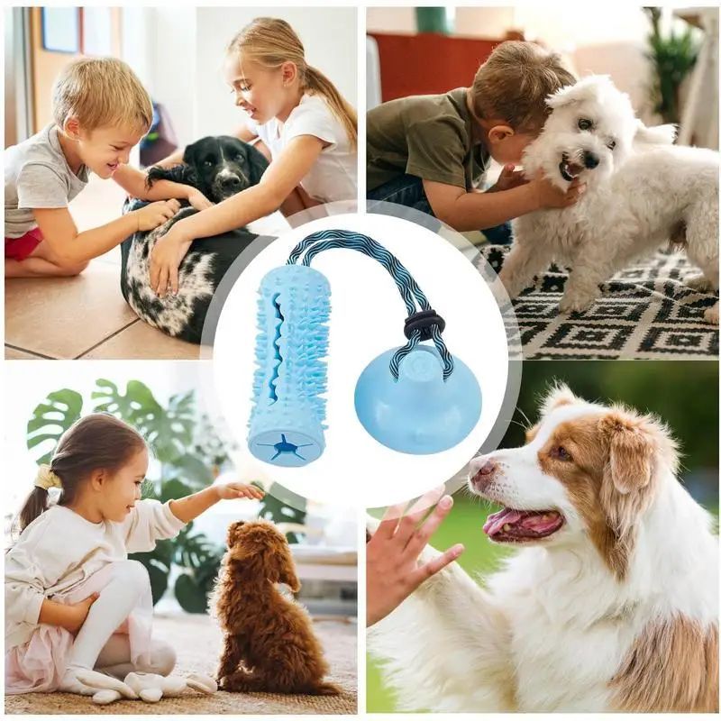 Dog Chew Ball Toys