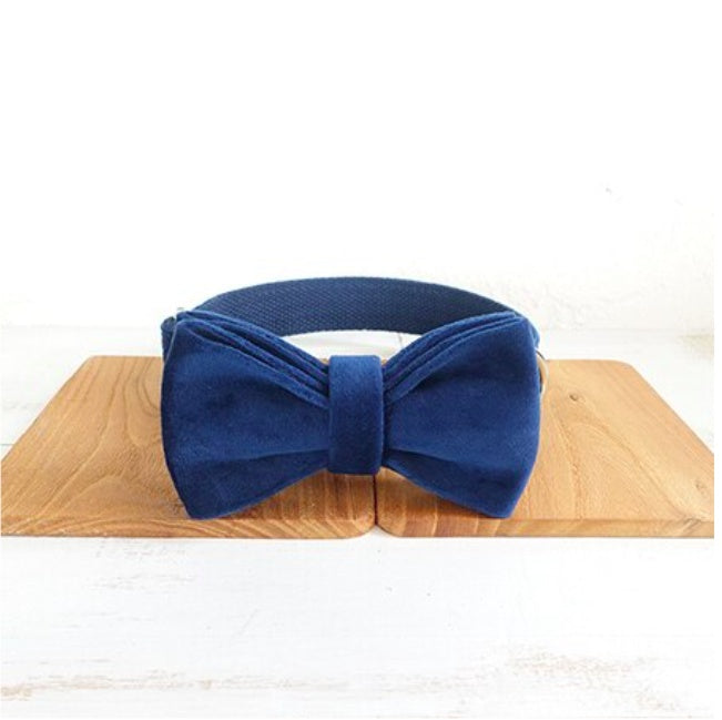 Bow pet collar