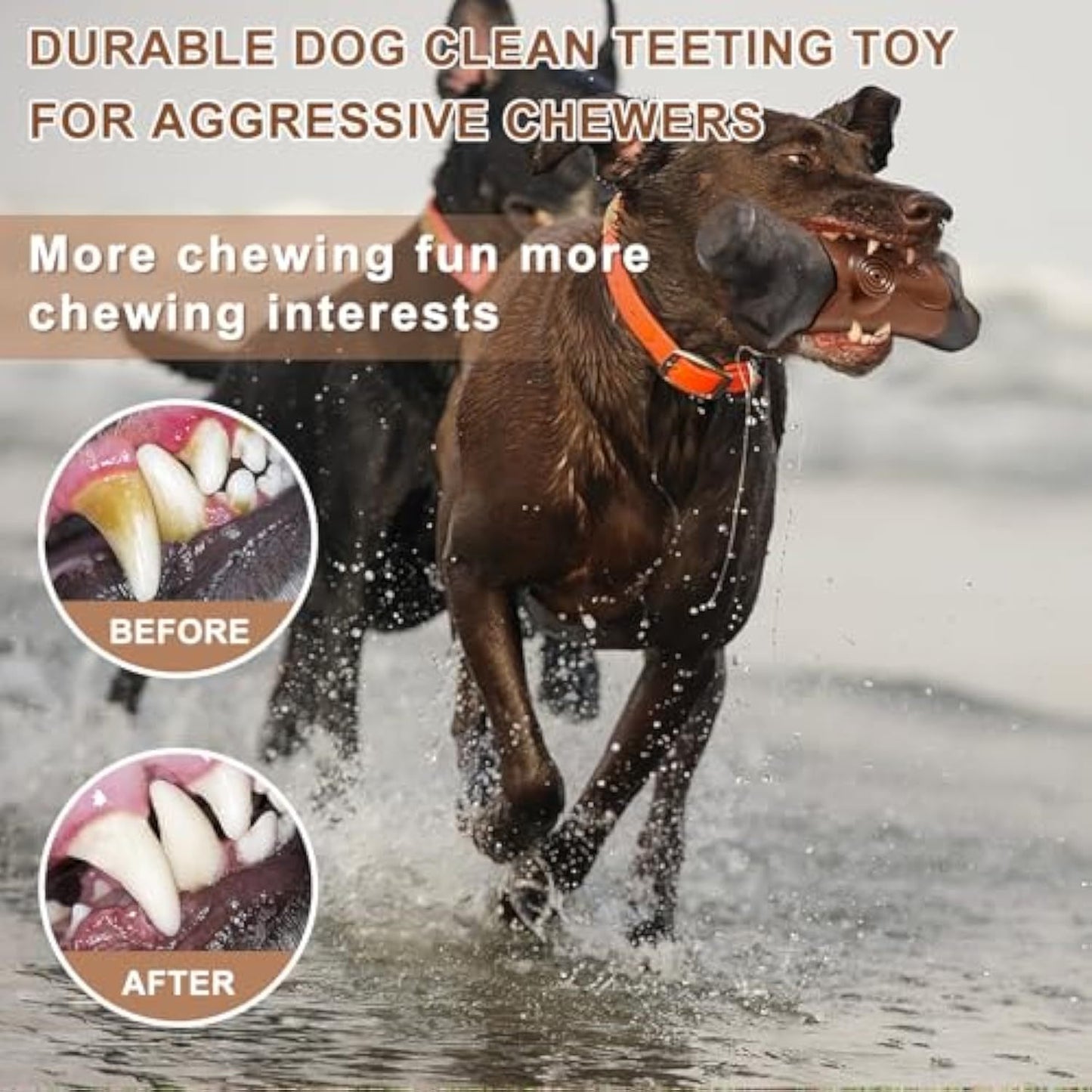 Tough Dog Toys For Aggressive Chewers Large Breed
